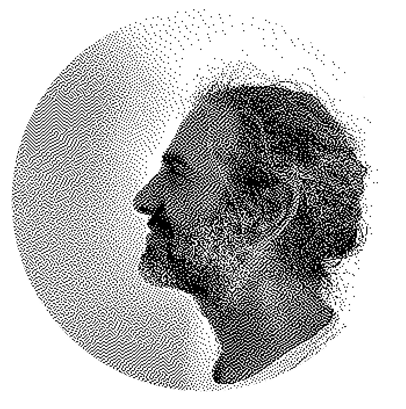 Björn